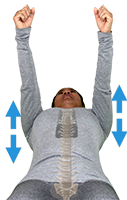 spine aligner position movement